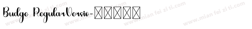Budge RegularVersio字体转换